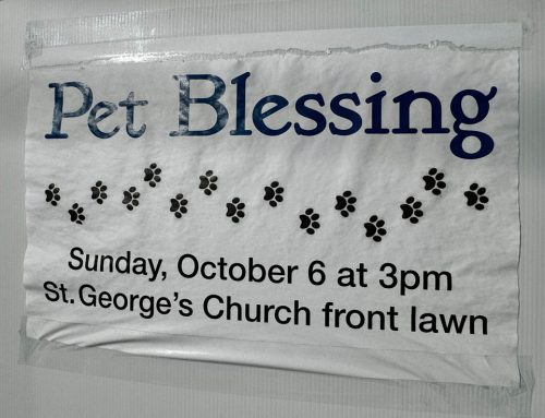 The Blessing of the Animals – Sunday October 6, 2024